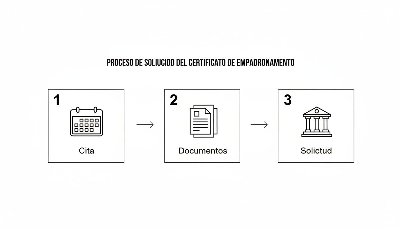 Diagrama que ilustra los tres pasos para obtener el certificado de empadronamiento: cita, documentos y solicitud.